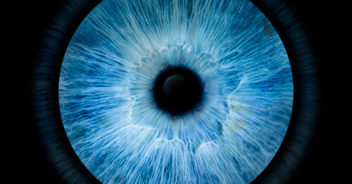Irisfotografie een kunstwerk van je eigen iris